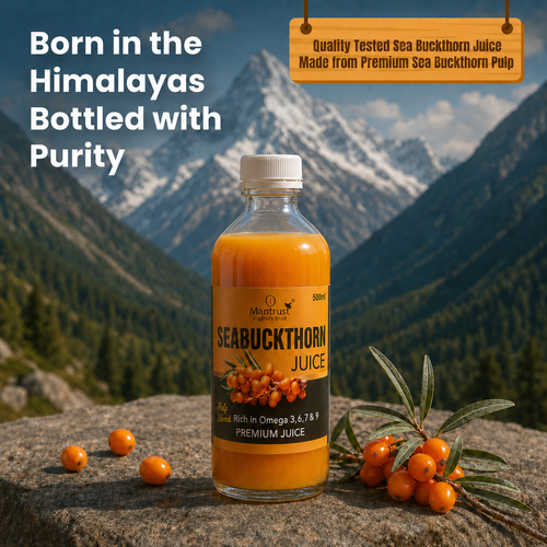 100% Natural Himalayan Sea Buckthorn Pulp – Pure Superfood for Immunity, Skin & Daily Wellness