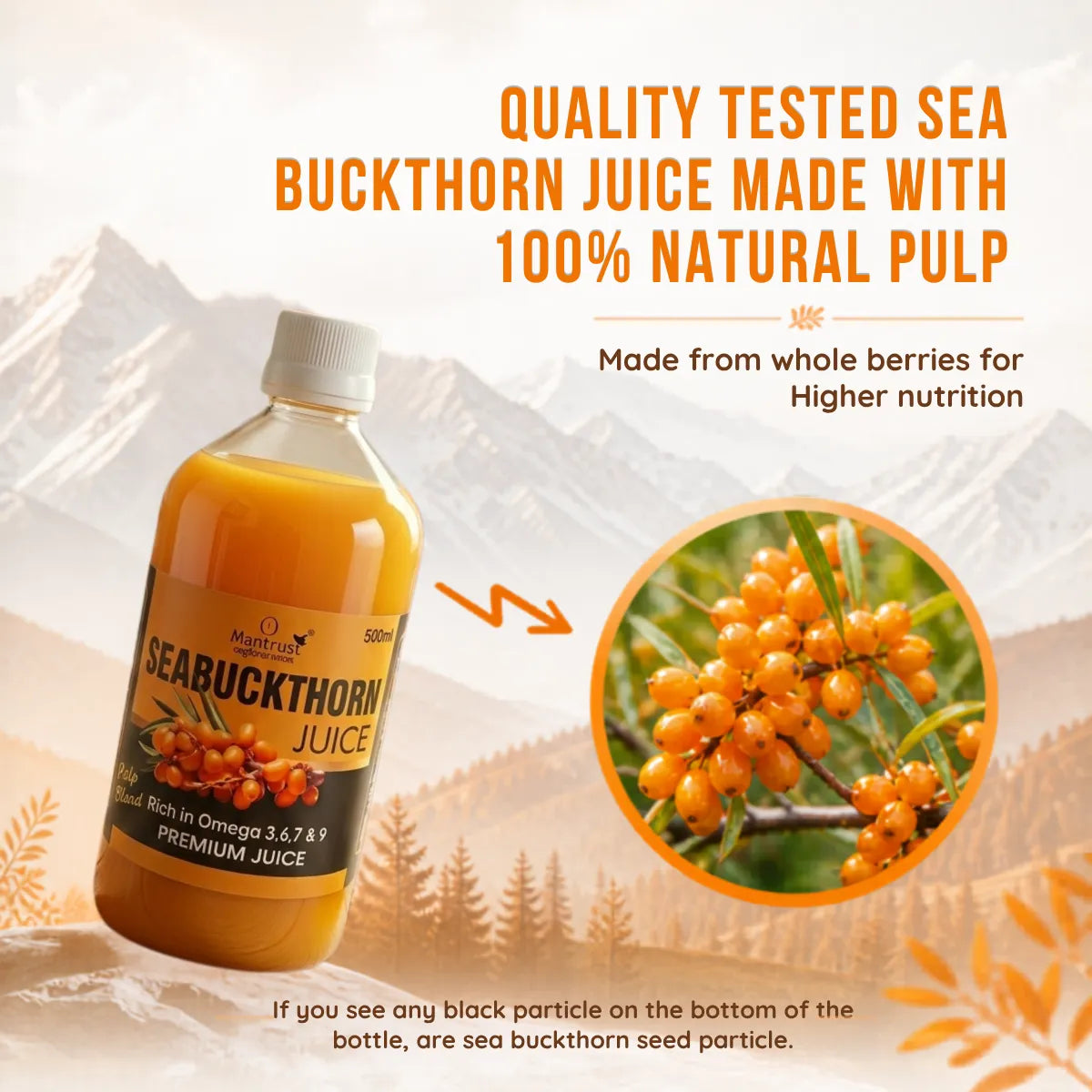 100% Natural Himalayan Sea Buckthorn Pulp – Pure Superfood for Immunity, Skin & Daily Wellness