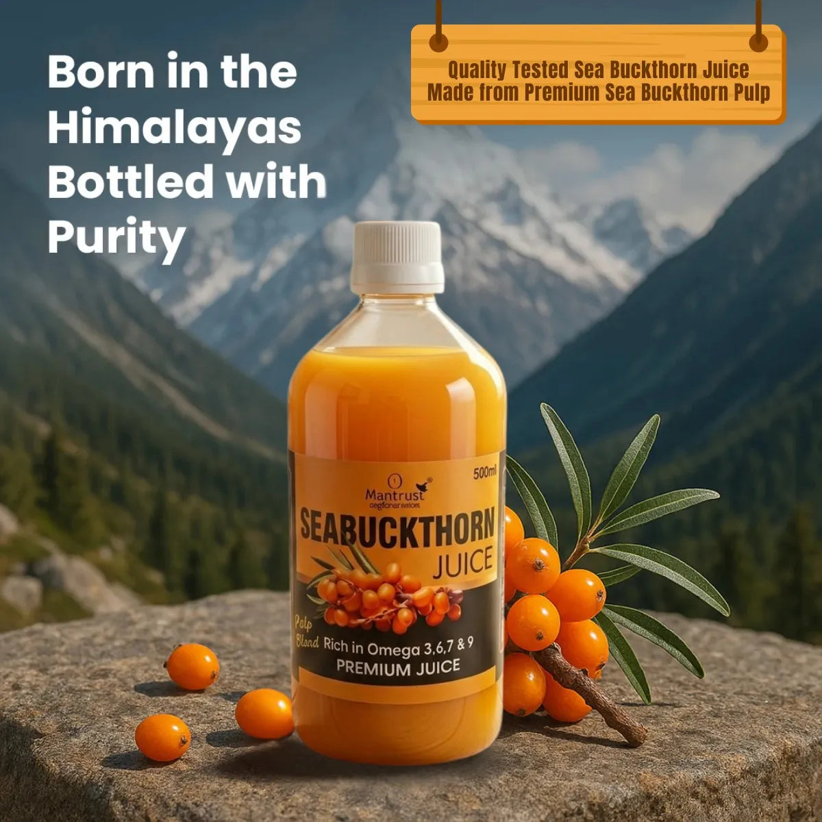 100% Natural Himalayan Sea Buckthorn Pulp – Pure Superfood for Immunity, Skin & Daily Wellness