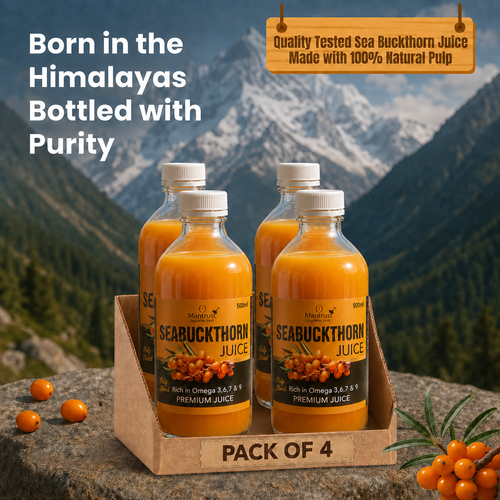 (Pack of 4) 100% Natural Himalayan Sea Buckthorn Pulp – Pure Superfood for Immunity, Skin & Daily Wellness
