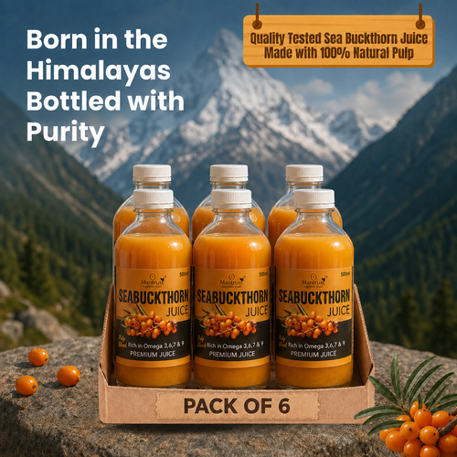 (Pack of 6) 100% Natural Himalayan Sea Buckthorn Pulp – Pure Superfood for Immunity, Skin & Daily Wellness