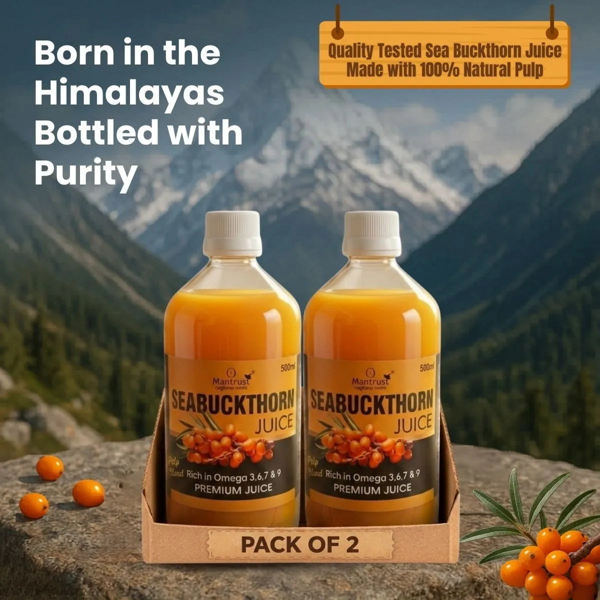 100% Natural Himalayan Sea Buckthorn Pulp – Pure Superfood for Immunity, Skin & Daily Wellness